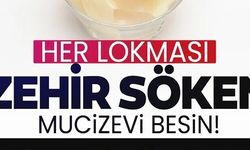 HER LOKMASI ZEHİR SÖKEN MUCİZEVİ BESİN