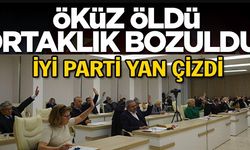 İYİ PARTİ YAN ÇİZDİ