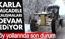 KARLA MÜCADELE ÇALIŞMALARI DEVAM EDİYOR