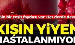 KIŞIN YİYEN HASTALANMIYOR