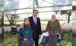 MARUL TARLASINDAN KADINA ŞİDDETE HAYIR DEDİLER