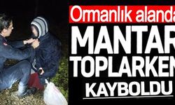 ORMANLIK ALANDA MANTAR TOPLARKEN KAYBOLDU