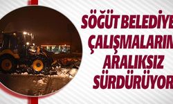 SÖĞÜT BELEDİYESİ ÇALIŞMALARINI ARALIKSIZ SÜRDÜRÜYOR