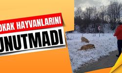 SOKAK HAYVANLARINI UNUTMADI