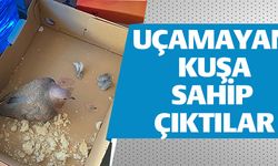 UÇAMAYAN KUŞA SAHİP ÇIKTILAR