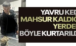 YAVRU KEDİ MAHSUR KALDIĞI YERDEN BÖYLE KURTARILDI