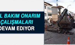 YOL BAKIM-ONARIM ÇALIŞMALARI DEVAM EDİYOR
