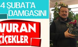 14 ŞUBAT'A DAMGASINI VURAN ÇİÇEKLER