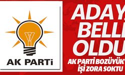 AK PARTİ BOZÜYÜK'TE İŞİ ZORA SOKTU