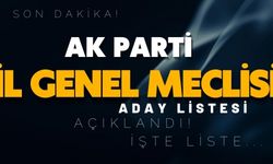 AK PARTİ İL GENEL MECLİSİ ADAY LİSTESİ AÇIKLANDI