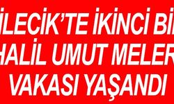 BİLECİK'TE İKİNCİ BİR HALİL UMUT MELER VAKASI YAŞANDI