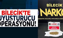 BİLECİK'TE UYUŞTURUCU OPERASYONU