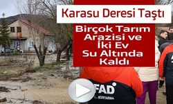 BİRÇOK TARIM ARAZİSİ VE İKİ EV SU ALTINDA KALDI