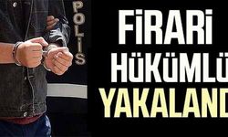 FİRARİ HÜKÜMLÜ YAKALANDI