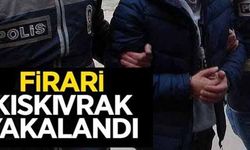 FİRARİ KISKIVRAK YAKALANDI