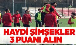 HAYDİ ŞİMŞEKLER 3 PUANI ALIN