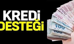 KREDİ DESTEĞİ