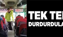 TEK TEK DURDURDULAR