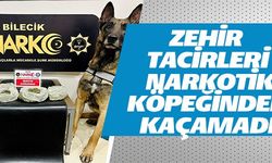 ZEHİR TACİRLERİ NARKOTİK KÖPEĞİNDEN KAÇAMADI