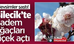 BİLECİK'TE BADEM AĞAÇLARI ÇİÇEK AÇTI