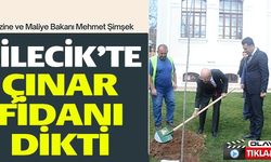 BİLECİK'TE ÇINAR FİDANI DİKTİ