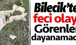 BİLECİK'TE FECİ OLAY!