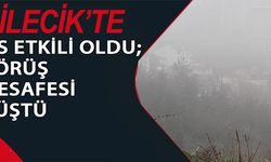 BİLECİK'TE SİS ETKİLİ OLDU