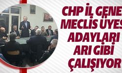 CHP İL GENEL MECLİS ÜYESİ ADAYLARI ARI GİBİ ÇALIŞIYOR