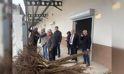 ÇİFTÇİ VE ÜRETİCİLERE CEVİZ FİDANI  DAĞITILDI