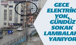 GECE ELEKTRİK YOK, GÜNDÜZ SOKAK LAMBALARI YANIYOR