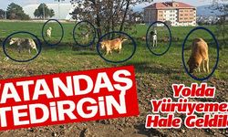 VATANDAŞ TEDİRGİN!