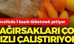 BAĞIRSAKLARI ÇOK HZLI ÇALIŞTIRIYOR!