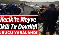 BİLECİK'TE MEYVE YÜKLÜ TIR DEVRİLDİ