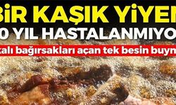 BİR KAŞIK YİYEN 40 YIL HASTALANMIYOR