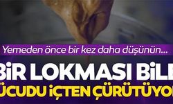 BİR LOKMASI BİLE ÇÜRÜTÜYOR!