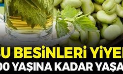 BU BESİNLERİ YİYEN YAŞADI