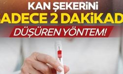 KAN ŞEKERİNİ SADECE 2 DAKİKADA DÜŞÜREN YÖNTEM!