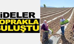 KARPUZ FİDELERİ TOPRAKLA BULUŞTU