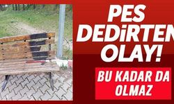 PES DEDİRTEN OLAY!