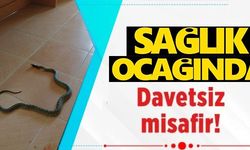 SAĞLIK OCAĞINDA DAVETSİZ MİSAFİR!