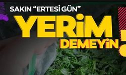 SAKIN ERTESİ GÜN YERİM DEMEYİN!