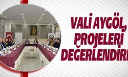 VALİ AYGÖL, PROJELERİ DEĞERLENDİRDİ