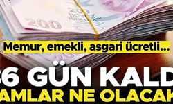 36 GÜN KALDI ZAMLAR NE OLACAK?