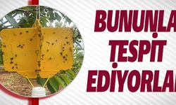 BUNUNLA TESPİT EDİYORLAR