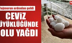 CEVİZ BÜYÜKLÜĞÜNDE DOLU YAĞDI