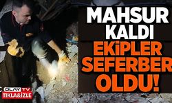 EKİPLER SEFERBER OLDU!