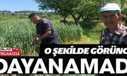 O ŞEKİLDE GÖRÜNCE DAYANAMADI