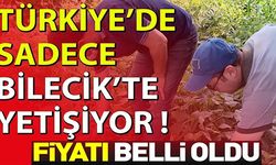 SADECE BİLECİK'TE YETİŞİYOR!