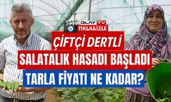 SALATALIK HASADI BAŞLADI