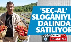 'SEÇ-AL' SLOGANIYLA DALINDA SATILIYOR